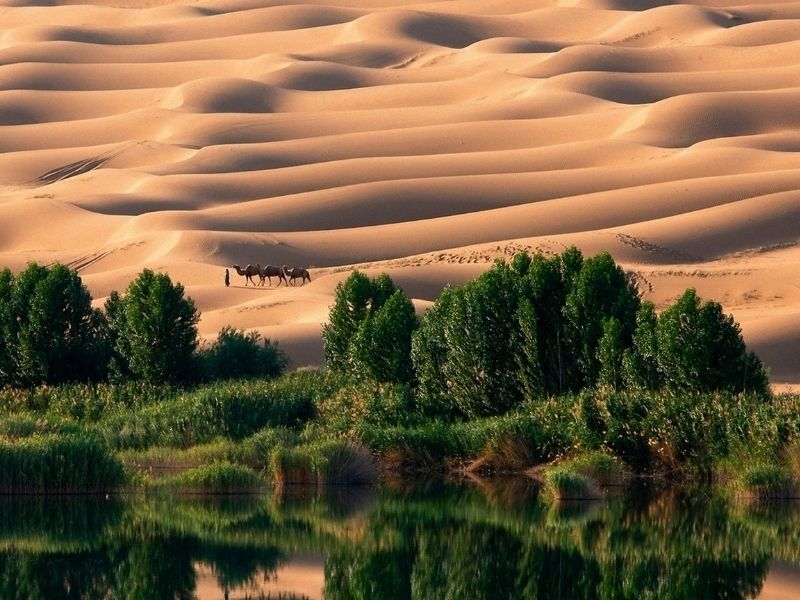 <p>Viaggio in Egitto - Oasi nel deserto</p>